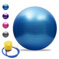 High Quality 75 cm Gym Ball Gymnastic Ball Yoga Multipurpose Ball Fitness Ball Aerobic Ball Exercise Balls. 