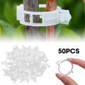 50Pcs Plastic Plant Clips Supports Connects Reusable Protection Grafting Fixing Tool Gardening Supplies for Vegetable Tomato. 