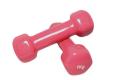 Dumbbell - 1kg - (1Pc). 