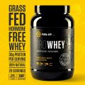 Whey Protein Powder 2LB 907G 28 Servings 30g Protein per Serving (Chocolate Delight). 