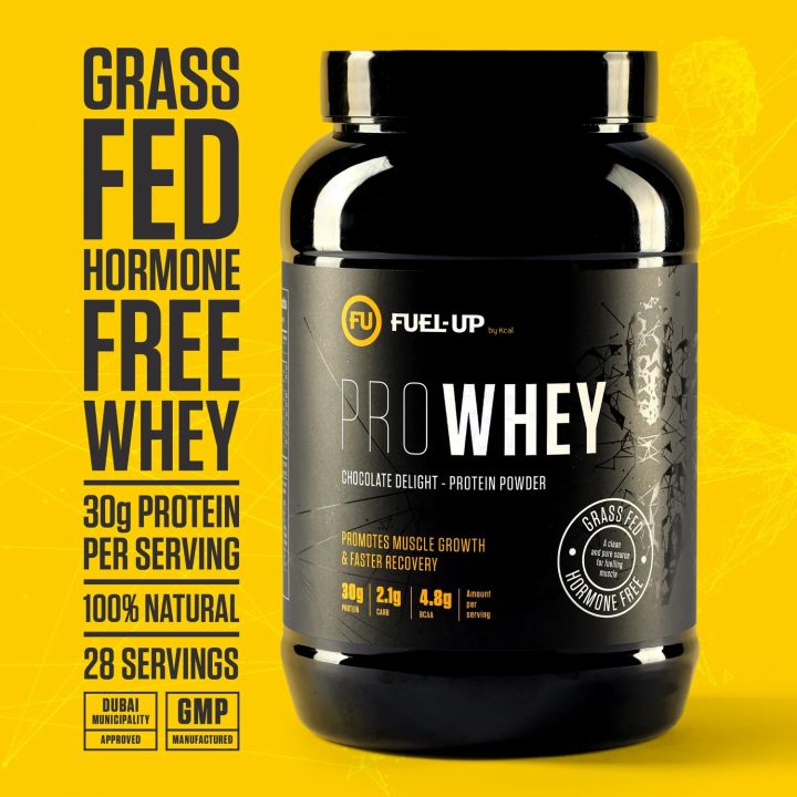 Whey%20Protein%20Powder%202LB%20907G%2028%20Servings%2030g%20Protein%20per%20Serving%20(Chocolate%20Delight)%20-%20Image%207
