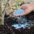 Blue Granular Fertilizer Grouting Formula 1kg Nil keta pohora. 