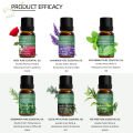 Essential Oils for Diffusers Eucalyptus,Lavender, Lemongrass,Rosemary,Peppermint,Tea Tree Essential Oil Aromatherapy Oils. 
