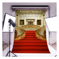2X Castle Photography Backdrops Vinyl 5x7ft Luxury Wedding Background Photo Props. 
