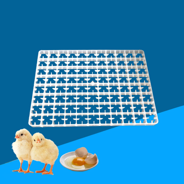 1Pcs%20Egg%20Tray%20For%20Incubator%20Automatic%20Goose%20Pigeons%20Duck%20Quail%20Egg%20China%20Incubadora%20Parts%20Poultry%20Farming%20Accessories%20Supplies%20-%20Image%208