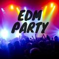 Electronic Dance Music 2020 (EDM) 12+DVD. 