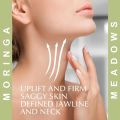 OG BEAUTY Moringa Meadows Face Cream 50 GM - Nourishing and Hydrating Skincare(FROM INDIA)NUZ. 