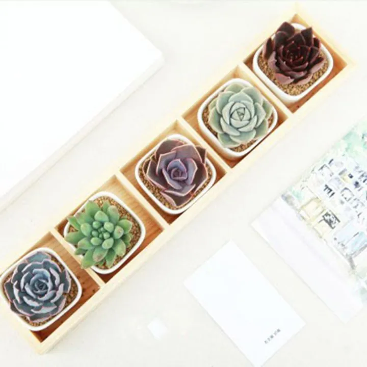 QUANBU%20Fleshy%20Flower%20Iron%20Ceramics%20Flowerpot%20Wooden%20Box%20Succulent%20Plant%20Flower%20Pot%20Rack%20Planter%20Bonsai%20Pot%205%20Grid%20-%20Image%205