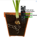 Material Capacitive Soil Moisture Sensor Waterproof Compact Design Easy Installation For Arduino Hygrometer Sensor High. 