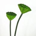 Flower Arrangement PU Artificial Lotus Romantic Lifelike Simulation Lotus Leaf Long Stem Handmade Fake Lotus Branch Garden. 