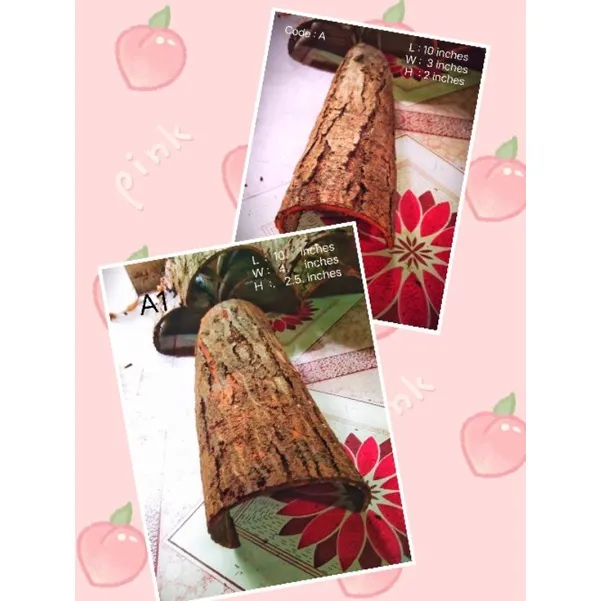 %E2%97%8FTarantula%20hide,%20Reptile%20etc..Balat%20ng%20Mahogany%20,dry%20Mahogany%20Bark%20-%20Image%206