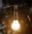 Outdoor Camping Hanging lamp Type-C Charging Retro Light Bulb Lighting Decor Lantern Hiking Sports Entertainment Portable Lamp. 