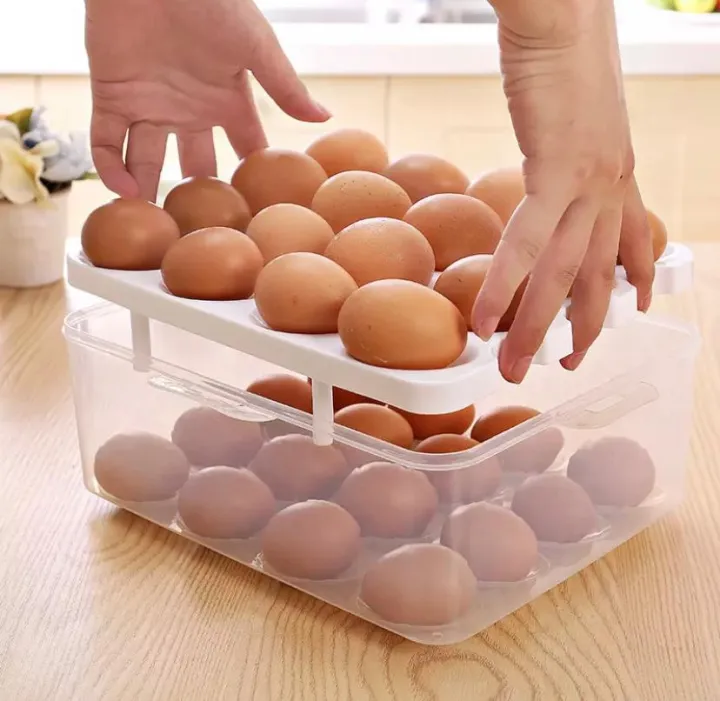 High%20Quality%20ABS%20Plastic%20Egg%20Storage%20Box%20with%20Lid%20and%20Handle%20-%20Image%204