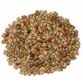 Pure Kollu Seeds Horse Gram 1kg. 