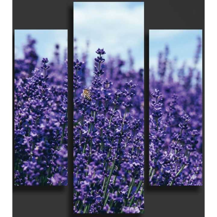 Three%20(3)Pieces%20Modern%20HD%20Printed%20Home%20Decor%20Wall%20Art%20Framed%20%20-%20%20Lavender%20Fields%20-%20Image%203