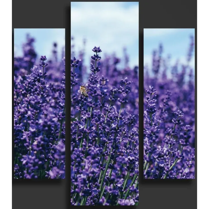 Three%20(3)Pieces%20Modern%20HD%20Printed%20Home%20Decor%20Wall%20Art%20Framed%20%20-%20%20Lavender%20Fields%20-%20Image%203