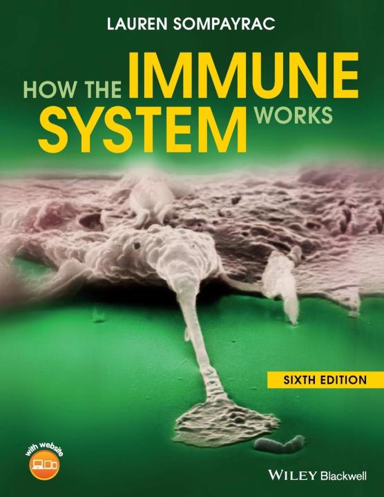 How the Immune System Works | Daraz.lk