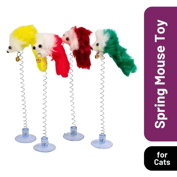 Funny Cat Toys: Interactive Mouse on a Spring