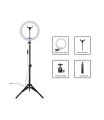 Professional 10-Inch LED Ring Light with 7ft Tripod & Adjustable Phone Holder for Perfect Selfies. 