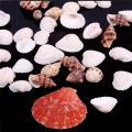 100g Beach Mixed SeaShells Mix Sea Shells Shell Craft SeaShells Aquarium Decor. 