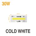 【GlobalTrendz】Smart IC LED COB Chip Lamp 30W 50W 70W 100W 150W 220V 110V IP65 Smart IC For DIY LED Floodlight Cold Warm White Outdoor Lighting. 