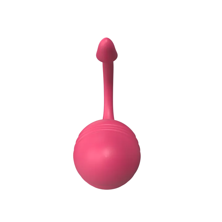 18+%20Phone%20App%20Controlled%20Wearable%20Egg%20Vibrator%20Sex%20Toy%20-%20Image%205