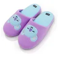 【WEJA】Sta5 KPOP BT21 Indoor Home Slippers Adult Free Size. 