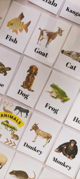 Animal%20Flashcards,%20kids%20educational%20tools,%20kids%20flashcards%20-%20Image%205