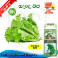 Salad Leaves Seeds Lettuce Gardening Agriculture Home seed Vegetable 90% Germination. 