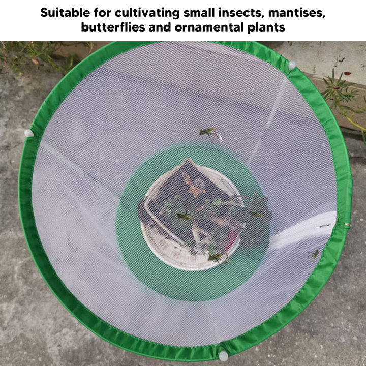 Cage%20Cylindrical%20And%20Observation%20Cage%20Mesh%20-%20Image%202