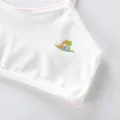 Bra Kids Teen Underwear Baby Bra for 8-10 Years Old Kids Training Bra Underwear. 