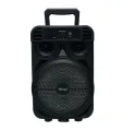 KTS-2161 Wireless Portable Karaoke Speaker With Wireless Microphone Support Bluetooth, FM Radio, TF Memory Card Reader and USB Pen Drive. 