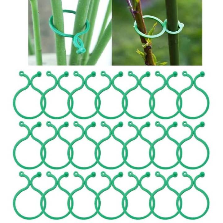 50pcs Garden Support Clips Plastic Locks Orchid Flower Vegetables ...