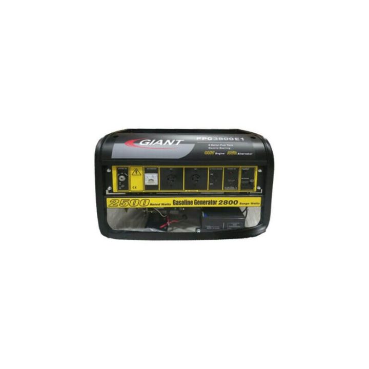Giant Gasoline Generator – 2.8kVA -FPG3800E1