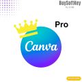 Canva Pro Upgrade Own Account  Unlimited Design Templates 1 Year. 