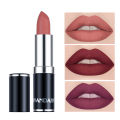 HANDAIYAN-12 Colors Waterproof Lipstick Matte  Lipstick Non-fading Retro Lipstick. 