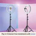 10 Inch Selfie LED Ring Light with 7ft Stand Tripod and Adjustable Phone Holder 360 Rotatable LED Studio Camera for Selfie and Video. 