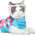 Transparent Chewing Safety Anti Bite Cat Muzzle Bathing Grooming Tools Mouth Guard Kitten Muzzles Mask. 