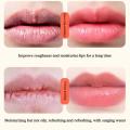 Bubble Lip Mask Dragon Blood Tree Bubble Gentle Exfoliation Natural Lip Scrub Tender Polish Lipstick Moisturizing Care 7.5ml. 