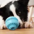 Random Color Pet Feeder Leaking Toy Slow Feeding IQ Puzzle Treat Balls Dog Cat Toys Food Dispensing. 
