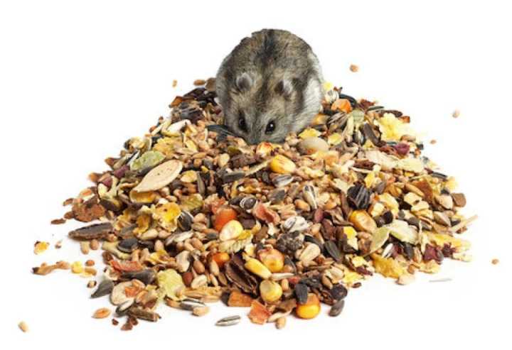 Hamster multiple seeds food mix 500g