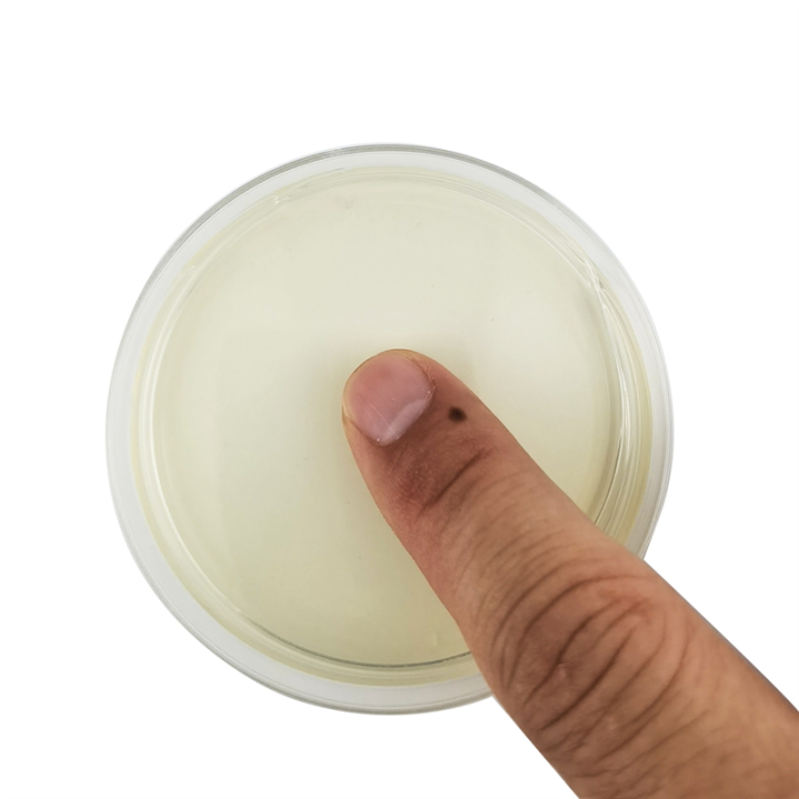 Potato%20Dextrose%20Agar%20Dish%20Bacterial%20Dish%20for%20Mushrooms,%20Home%20Test%20Kit%20or%20Science%20Fair%20Project%20,%2010PCS%20-%20Image%203