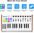TUNAMINI 25 Keys USB MIDI Keyboard Controller 8 RGB Backlit DJ Pianos Trigger Colorful Pads. 
