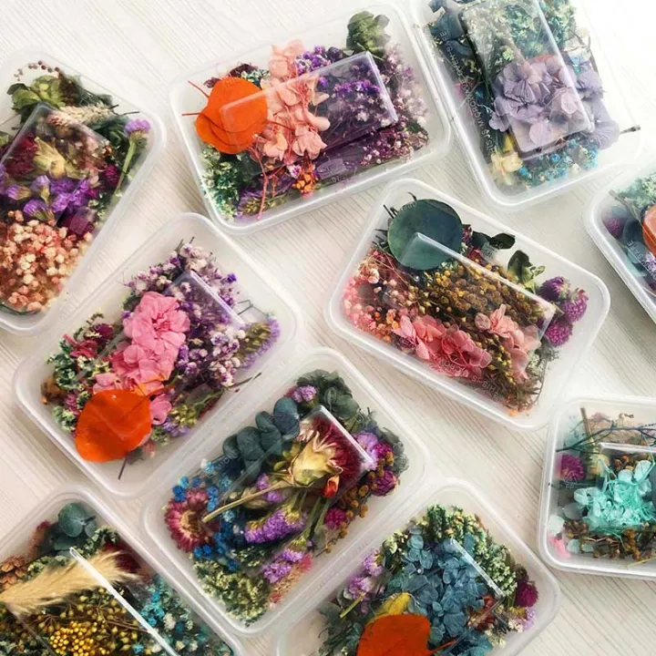 Mix%20Beautiful%20Real%20Dried%20Flowers%20Natural%20Floral%20For%20Art%20Craft%20Scrapbooking%20Resin%20Jewelry%20Craft%20Making%20Epoxy%20Mold%20-%20Image%204