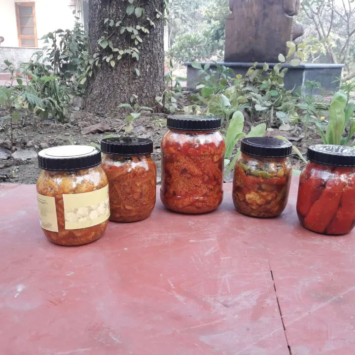 Farm%20Star%20Vinegar-Ed%20Onion(Dipped%20In%20Pure%20Java%20Plum%20Vinegar)Sirka%20Pyaj%20-(500Gm)%20-%20Image%204