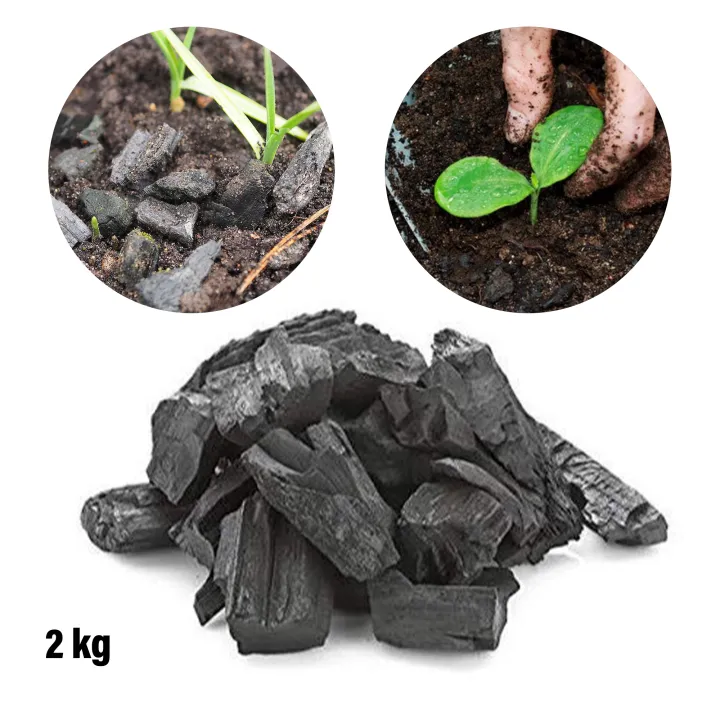 Wood%20Charcoal%20Orchids%20Organic%20Fertilizer%20Agriculture%20contains%20potassium%20carbonate%20Home%20Garden%20CS%20Agro%20-%20Image%202