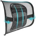 Mesh Back Support for Office Chair, Lumbar/Chair Back Support with Elastic Strap Back Rest for Car Seat/Back Pain Relief. 