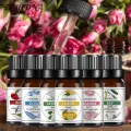 10ml Essential Oil Permeable Calm Emotion Non-Irritating Water Soluble Rose Diffuser Oil for Indoor. 