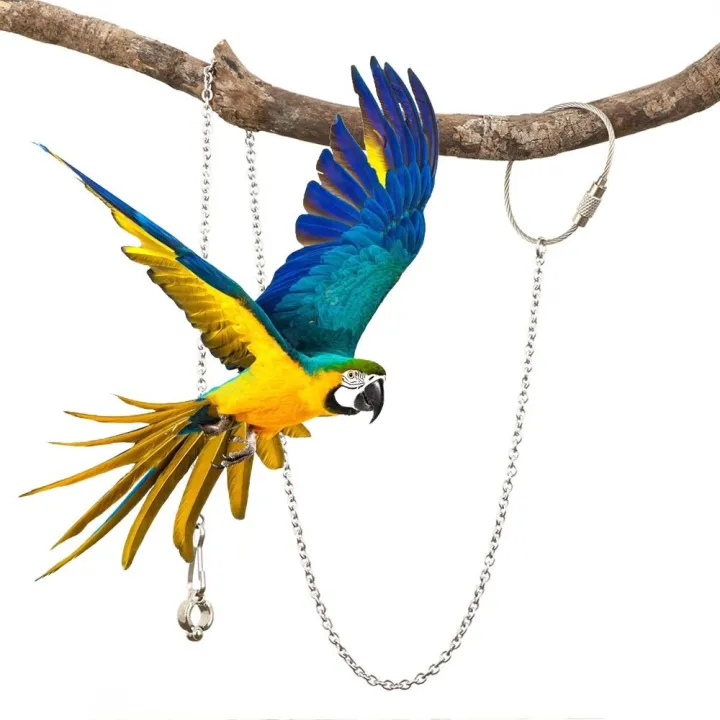 1Pcs%20Stainless%20Steel%20with%20Swivel%20Buckle%20Starling%20Pigeon%20Outdoor%20Parrot%20Foot%20Ring%20Bird%20Accessories%20Bird%20Stand%20Ankle%20Parakeet%20Foot%20Chain%20-%20Image%203