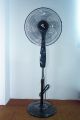 Oscillating Pedestal Fan, Adjustable Height, for Bedroom, Living Room, Home Office and College Dorm Room, 16". 